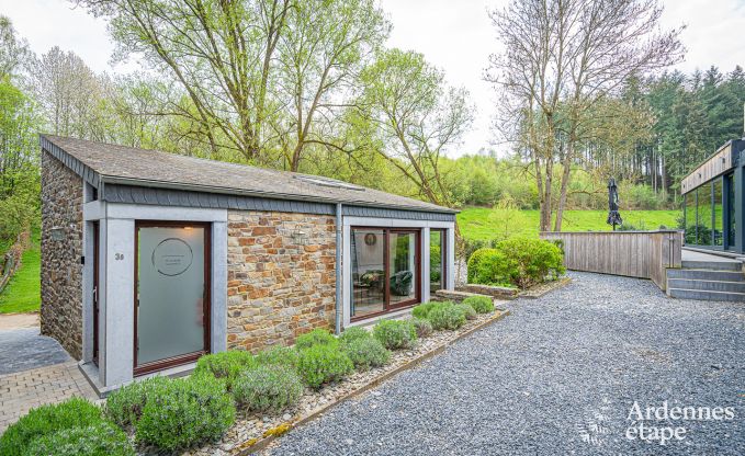 Villa de Luxe  La Roche-en-Ardenne pour 17 personnes en Ardenne