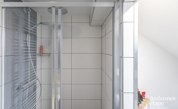 Villa de Luxe  La Roche-en-Ardenne pour 17 personnes en Ardenne