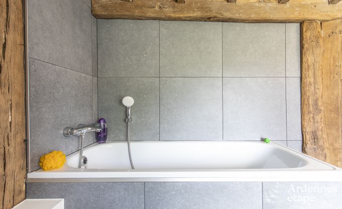 Villa de Luxe  La Roche-en-Ardenne pour 17 personnes en Ardenne