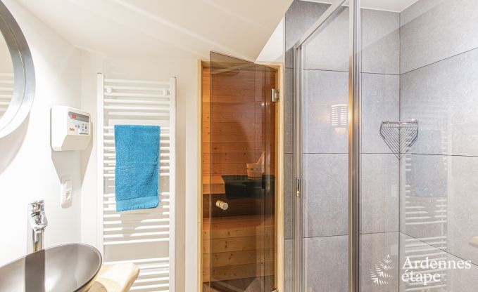 Villa de Luxe  La Roche-en-Ardenne pour 17 personnes en Ardenne