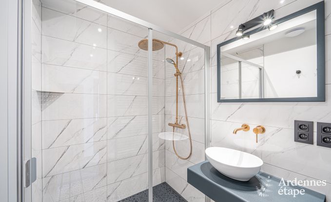 Villa de Luxe  La Roche-en-Ardenne pour 17 personnes en Ardenne