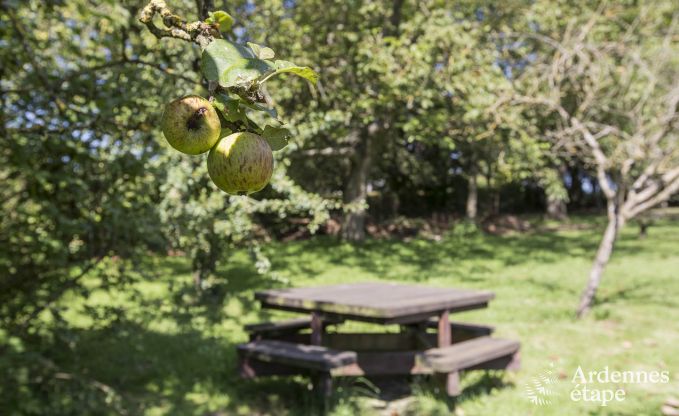 Maison de vacances � La Roche pour 11/12 personnes en Ardenne
