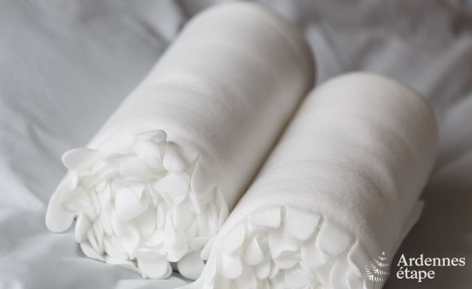 Villa de Luxe � La Roche pour 9 personnes en Ardenne