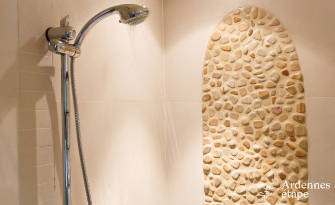 Villa de Luxe � La Roche pour 9 personnes en Ardenne