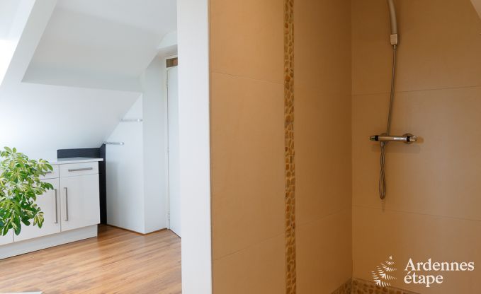 Villa de Luxe � La Roche pour 9 personnes en Ardenne