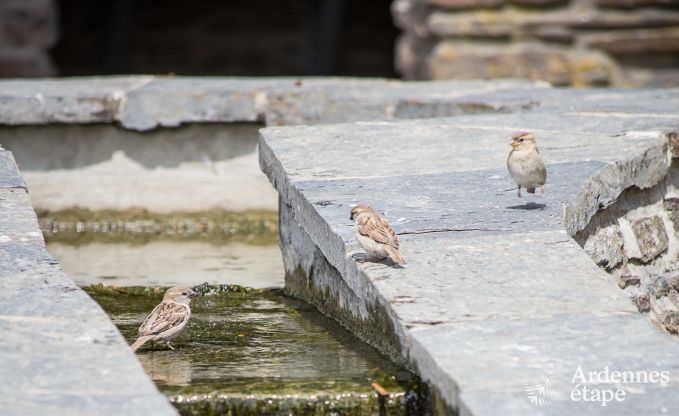 Maison de vacances  La Roche pour 8 personnes en Ardenne
