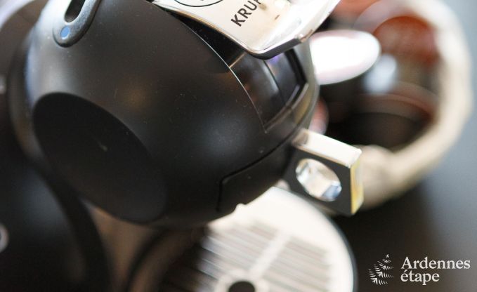 Villa de Luxe � La Roche pour 9 personnes en Ardenne