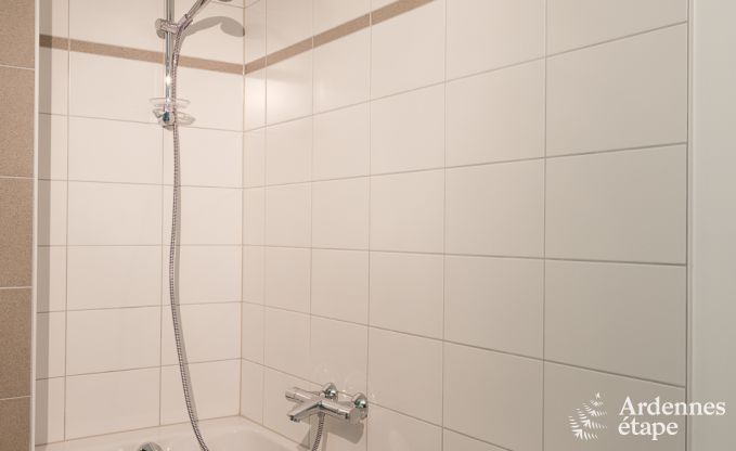 Villa de Luxe � La Roche pour 9 personnes en Ardenne