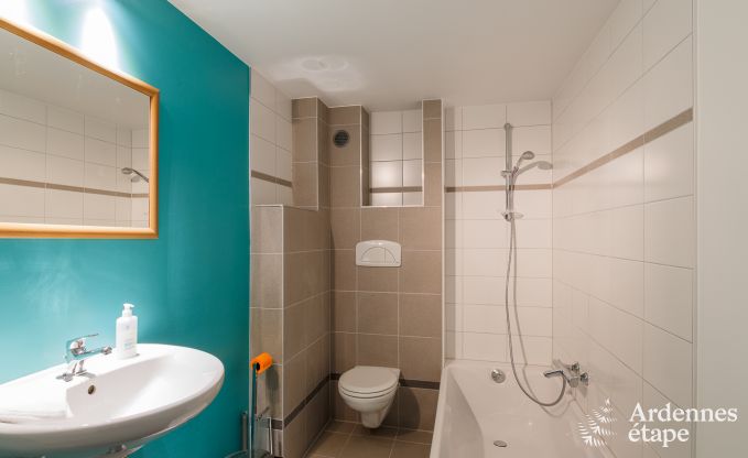 Villa de Luxe � La Roche pour 9 personnes en Ardenne