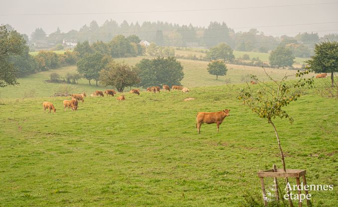 Charmante tiny house pour 4 personnes  Lglise avec kitchenette, poele  pellets et jardin priv