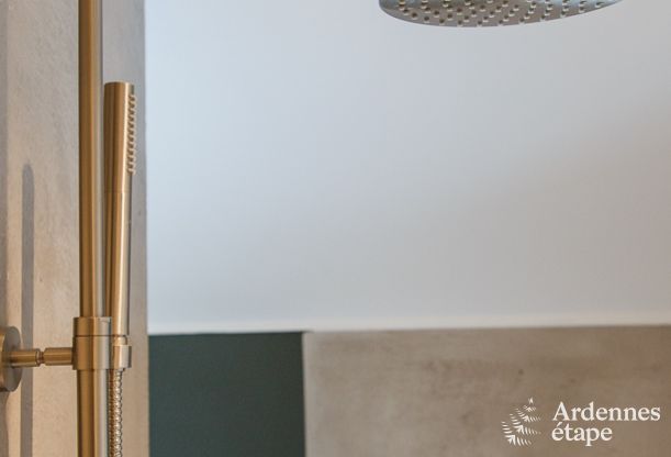 Maison de vacances � Leglise pour 12/14 personnes en Ardenne