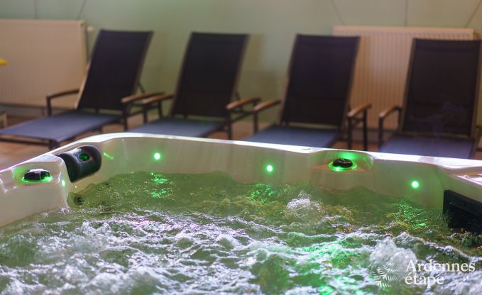 Maison de vacances � L�glise, Ardenne, 32 personnes, grand jardin priv�, �quipements sportifs, spa, salle de jeux, confort optimal