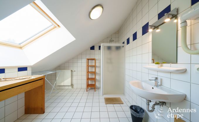 Maison de vacances � L�glise, Ardenne, 32 personnes, grand jardin priv�, �quipements sportifs, spa, salle de jeux, confort optimal