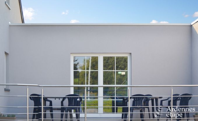Maison de vacances � L�glise, Ardenne, 32 personnes, grand jardin priv�, �quipements sportifs, spa, salle de jeux, confort optimal