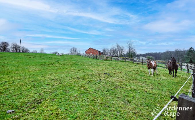 Calme assur� dans ce charmant chalet pour 4 personnes avec bain � remous dans l'environnement naturel de Libin