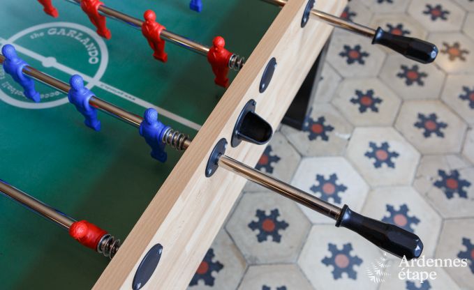 Elegante d�pendance de ch�teau � Libin pour 14 personnes en Ardenne