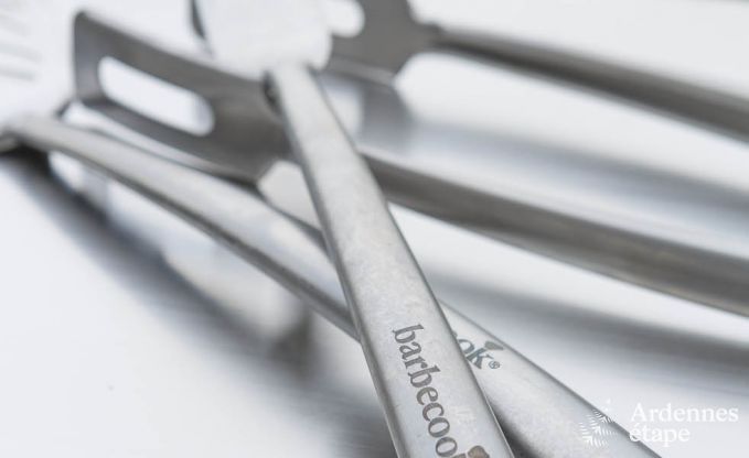 Villa de Luxe � Libin pour 18 personnes en Ardenne