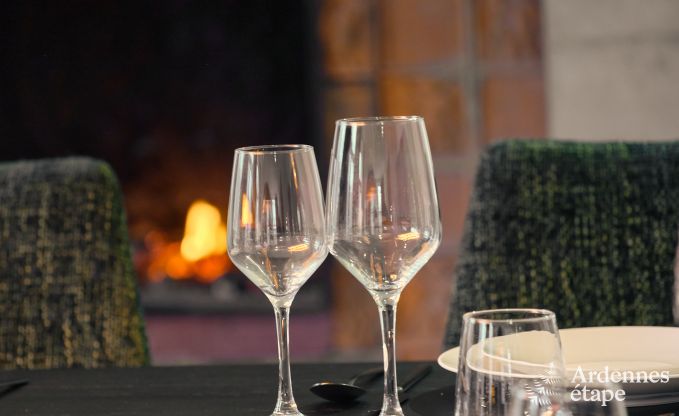 Chteau  Libin : sjour lgant pour 40 personnes avec des quipements tendus