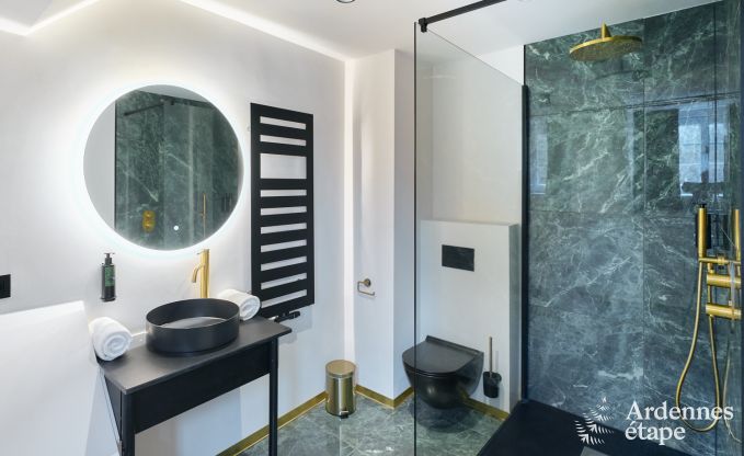 Chteau  Libin : sjour lgant pour 40 personnes avec des quipements tendus