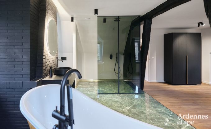 Chteau  Libin : sjour lgant pour 40 personnes avec des quipements tendus