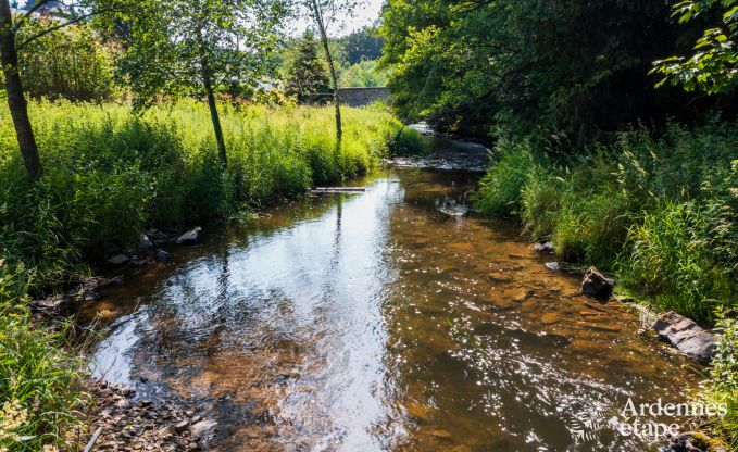 Chteau  Libin : sjour lgant pour 40 personnes avec des quipements tendus