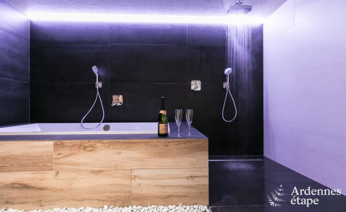 Maison de vacances  Libin pour 11/14 personnes en Ardenne