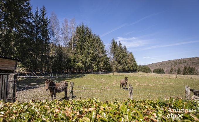 Villa de Luxe  Libin pour 27 personnes en Ardenne