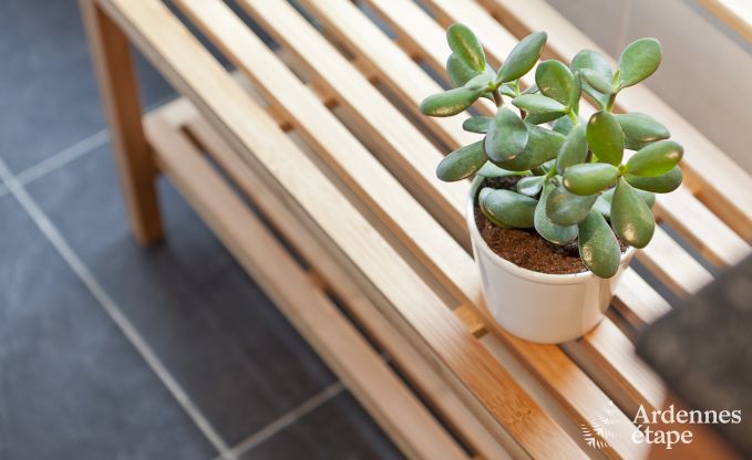 Maison de vacances � Libramont (Freux) pour 6 personnes en Ardenne