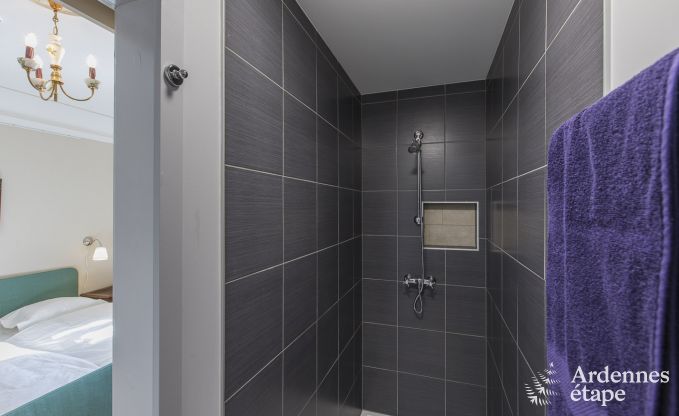 Ch�teau � Libramont-Chevigny pour 48 personnes en Ardenne