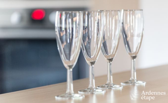 Spacieuse cottage pour 9 personnes � Libramont-Chevigny avec jardin priv� et terrasse avec vue