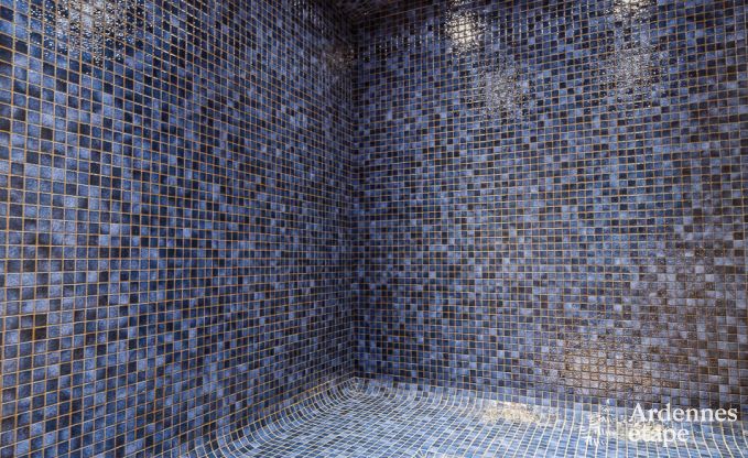 Maison de vacances � Libramont-Chevigny pour 7/9 personnes en Ardenne