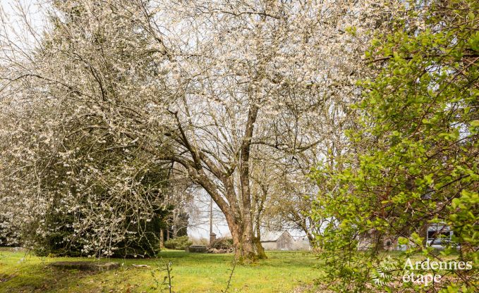 Maison de vacances � Libramont-Chevigny pour 42 personnes en Ardenne