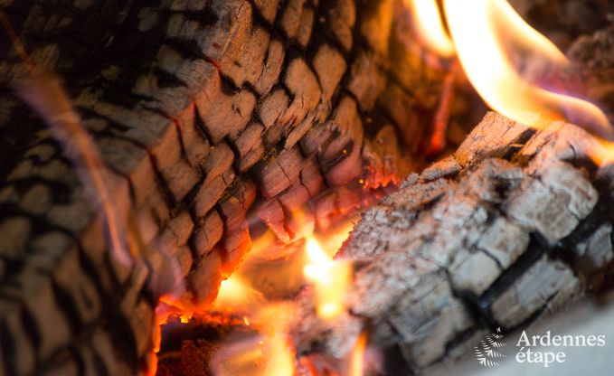 Gite de charme � Libramont-Chevigny pour 9 personnes en Ardenne