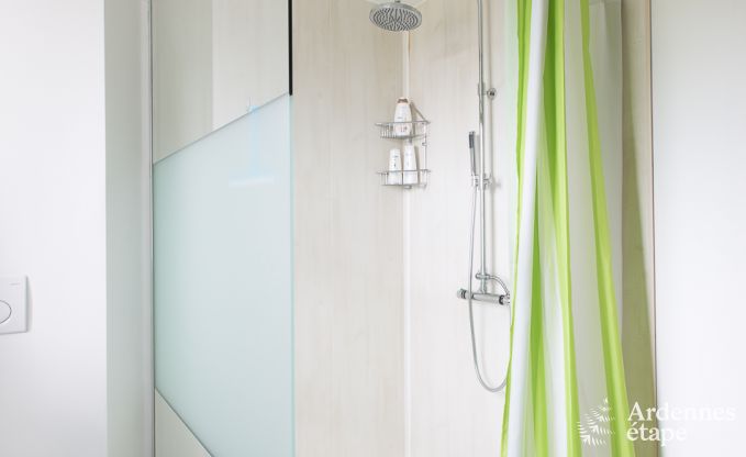 Gite de charme � Libramont-Chevigny pour 9 personnes en Ardenne