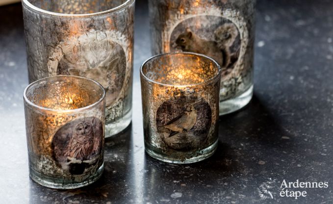 Maison de vacances  Libramont-Chevigny pour 9 personnes en Ardenne