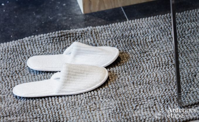 Maison de vacances  Libramont-Chevigny pour 9 personnes en Ardenne