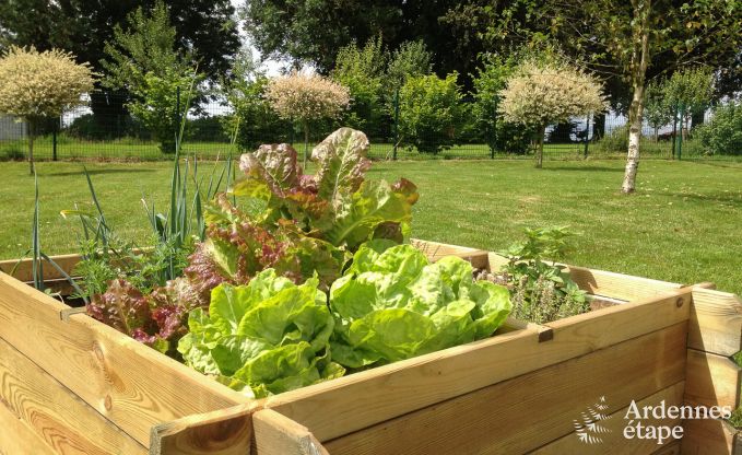 Maison de vacances � Libramont pour 4/5 personnes en Ardenne