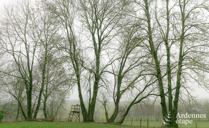 Maison de vacances  Libramont pour 3 personnes en Ardenne