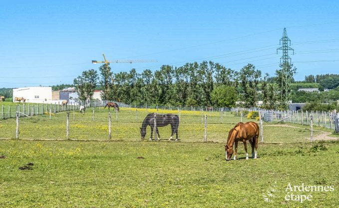 Maison de vacances � Libramont pour 6/8 personnes en Ardenne