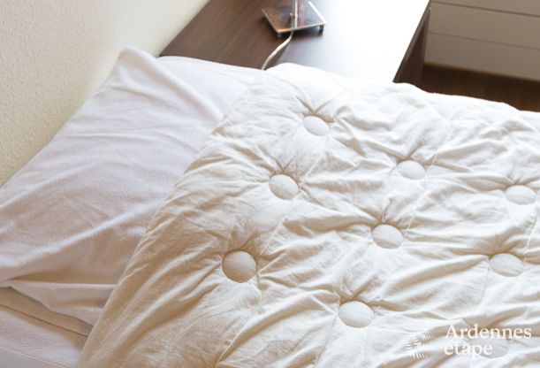 Maison de vacances  Libramont pour 15 personnes en Ardenne