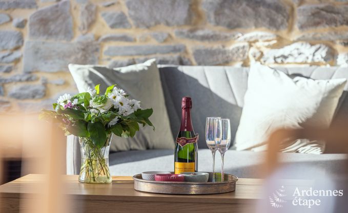 Spacieuse maison de vacances  Libramont pour 20 personnes avec salle de jeux, jardin et barbecue en Ardenne