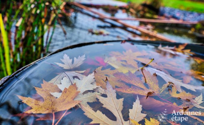 Maison de vacances  Libramont pour 6 personnes en Ardenne