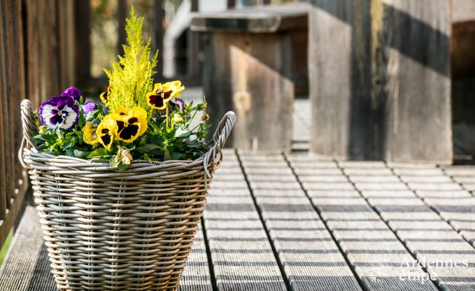 G�te insolite � Lierneux pour 4/5 personnes en Ardenne