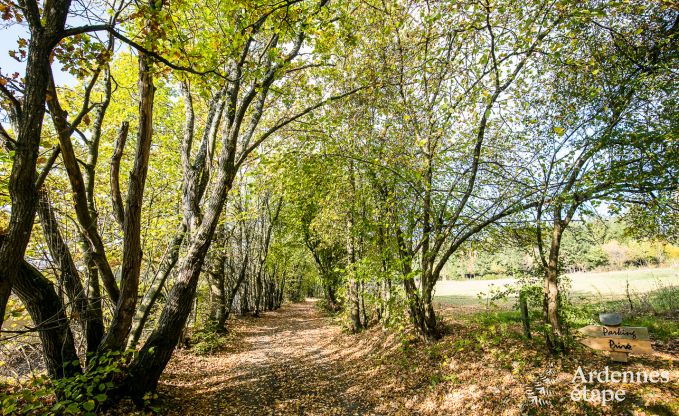G�te insolite � Lierneux pour 4/5 personnes en Ardenne
