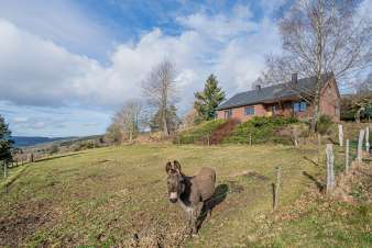 Magnifique maison de vacances pour 6 personnes à Lierneux, Ardenne orientale