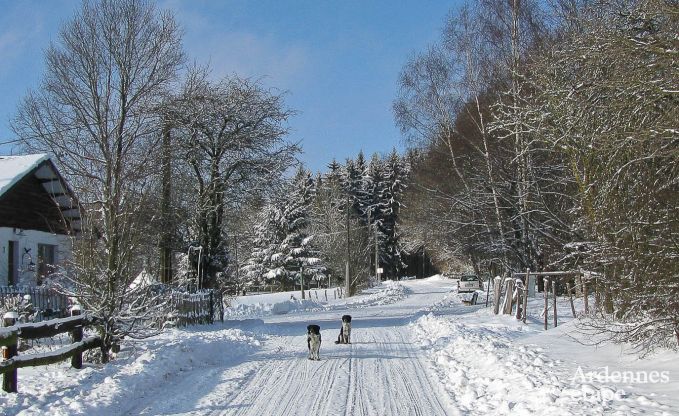 Villa de Luxe � Lierneux pour 9 personnes en Ardenne