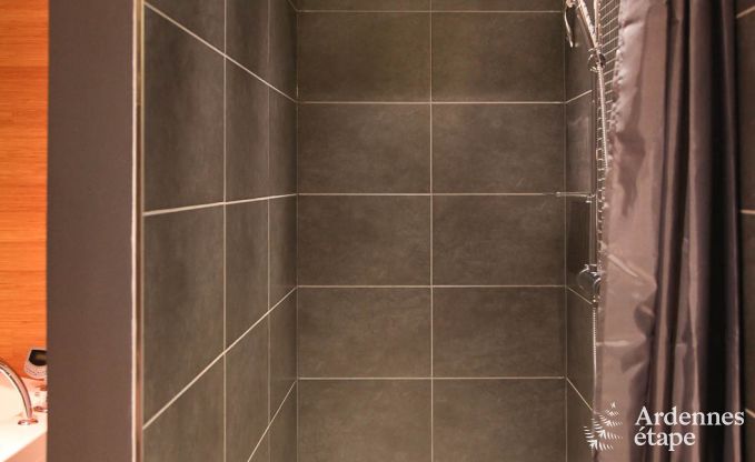 Villa de Luxe � Lierneux pour 9 personnes en Ardenne