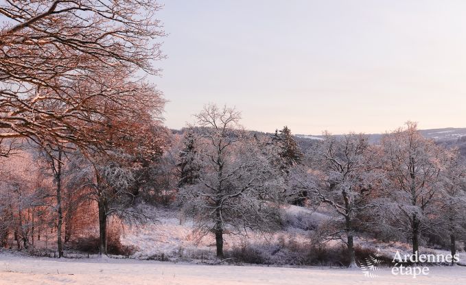 Vaste villa pour 12 personnes � Lierneux