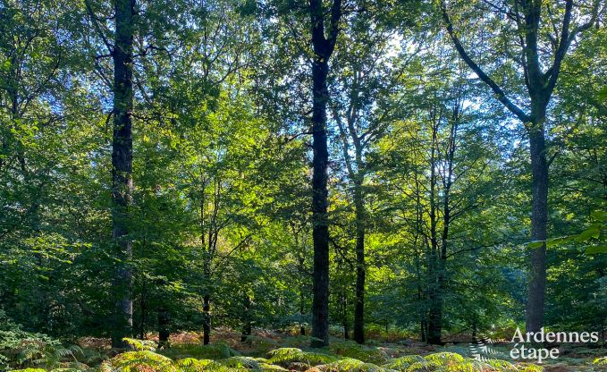 Vaste villa pour 12 personnes � Lierneux