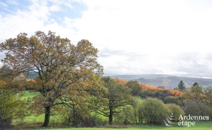 Vaste villa pour 12 personnes � Lierneux